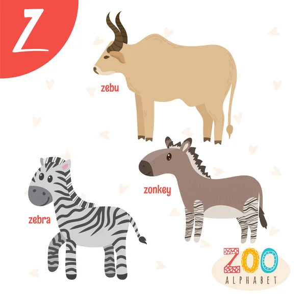 字母Z.可爱的动物。有趣的卡通动物在矢量。阿布布 — 图库矢量图片