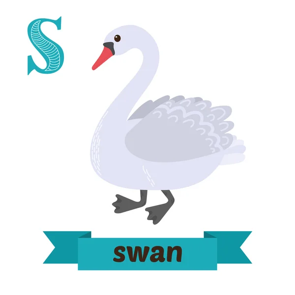 Cisne. Carta S. Lindos niños alfabeto animal en vector. Divertido c — Archivo Imágenes Vectoriales