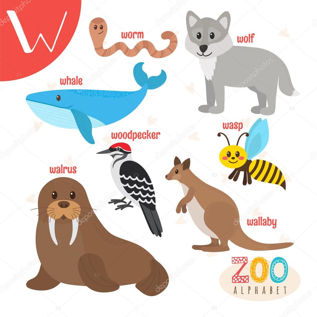 Letter W. Cute animals. Funny cartoon animals in vector. ABC boo