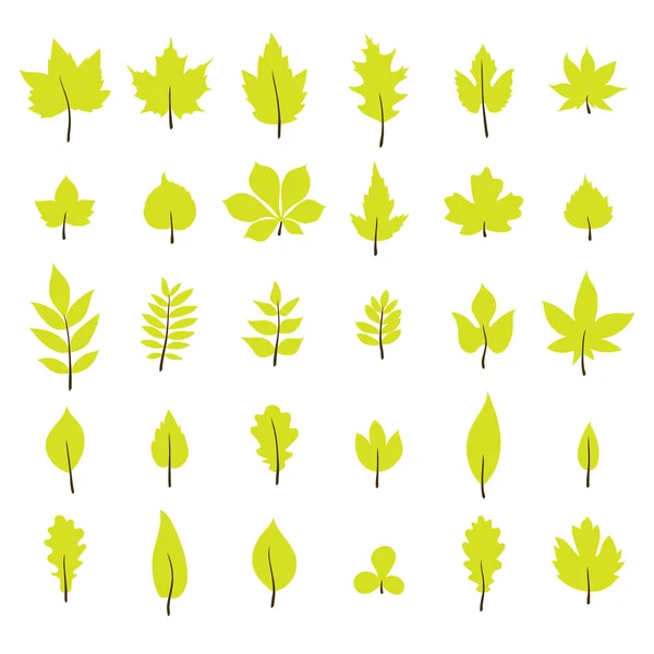 Set of autumn leaves. Leaf collection in flat style — Διανυσματικό Αρχείο