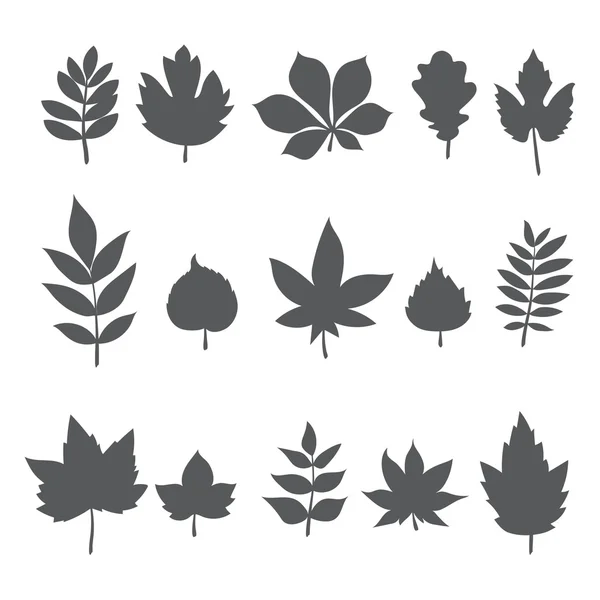 Σιλουέτες των δέντρων φύλλων. Φθινόπωρο συλλογή φύλλων — Διανυσματικό Αρχείο
