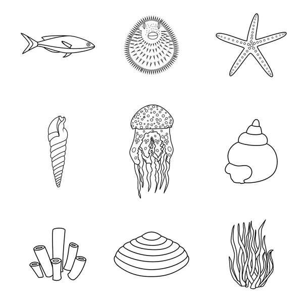 Collection of hand drawn sea creatures in modern mono line style on isolated white background. Vector starfish, jellyfish, fish, shells and seaweed. — Stock Vector
