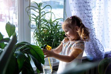 Kız kapalı alandaki çiçekleri spreyliyor. Çocukluktan beri bitkilerle ilgilenme kavramı.
