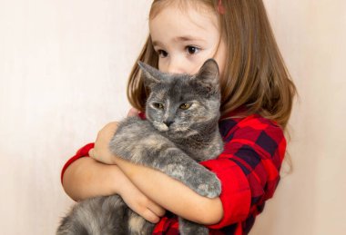 Kedi ve çocuk. Uzun saçlı, kırmızı gömlekli bir kız, kollarında gri bir kedi tutuyor..