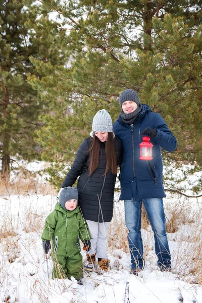 快乐的家庭 父母和婴儿 有松树的冬季森林中的一个家庭的画像 — 图库照片