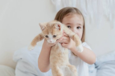 Küçük bir kız elinde kızıl saçlı bir kedi yavrusu tutuyor. Ana fikir çocuklar ve evcil hayvanlar.