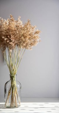 Cam bir vazoda sonbahar buketi beyaz bir masa ve güneş ışığı, masada gölgeler