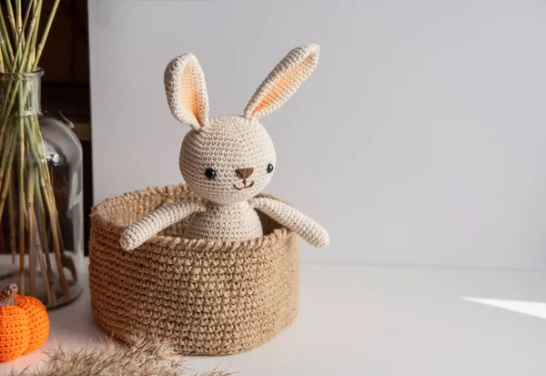 烤兔子坐在一个白色背景的黄麻篮里 — 图库照片