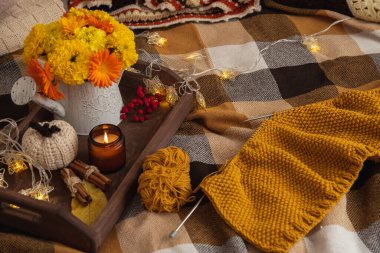 Ev işçiliğinin rahat atmosferinin üstünden bak. Ekose bir battaniye örgü sürecinde, dekorlu ahşap bir tepsi: mum, sonbahar buketi, çelenk