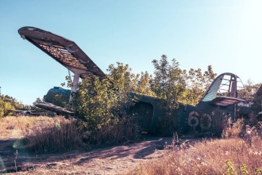 An-2 Antonov Sovyet seri üretimli çift motorlu uçaklar Vovchansk, Ukrayna 'da kaldı.