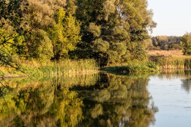 Sonbahar günbatımı nehri, ağaçların yansıması orman kıyılarının, manzaranın yansıması.