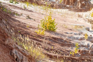 Renkli kum tepecikleri aşınmış, vahşi çöl kıvrımlı arazi. Doğal manzara manzarası