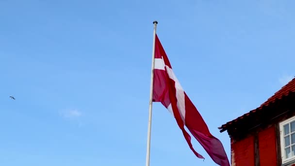 Deense Vlag Vlaggenmast Waait Wind Heldere Blauwe Lucht Het Centrum — Stockvideo