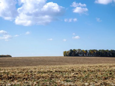 Çıplak ekilmiş sonbahar arazisi mavi gökyüzü