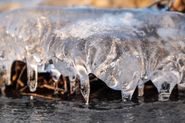 透明闪烁着清澈冰柱的特写 在结冰的野生湖面上 夕阳西下闪闪发光 冬季寒冷的自然背景 — 图库照片