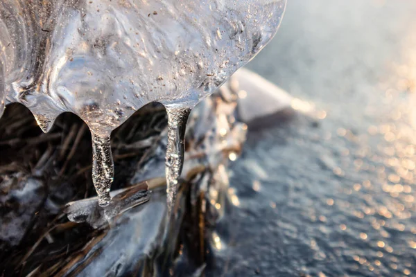 Transparent Glänzende Klare Eiszapfen Nahaufnahme Funkeln Sonnenuntergang Zugefrorenen Wilden Seeufer — Stockfoto