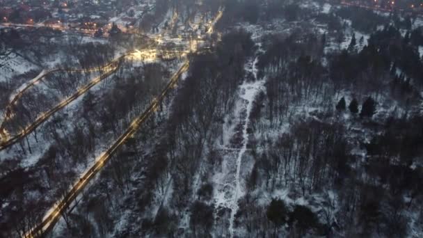 Vola Sopra Parco Urbano Illuminato Sera Invernale Orto Botanico Kharkiv — Video Stock