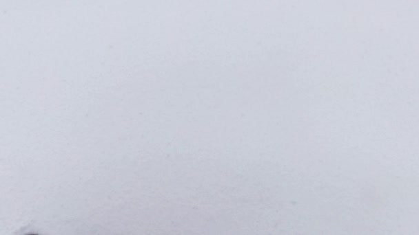 人的手在黑色手套中的特写 在白色新鲜蓬松的雪地上画出心形符号 冬季浪漫的爱情时光 — 图库视频影像