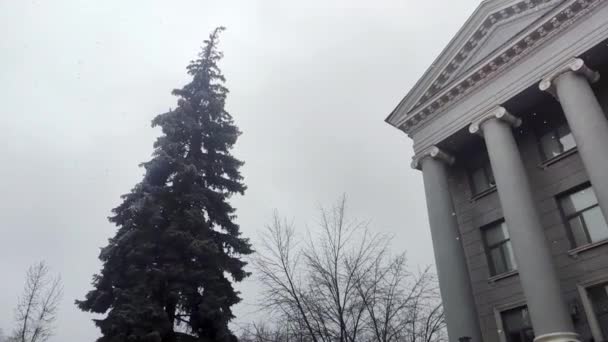 Çam Ağacı Stalinist Sovyet Mimari Yapısının Köşesinde Kar Yavaş Yavaş — Stok video