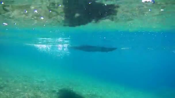 Unterwasserblick Auf Dem Grund Des Schwimmkajaks Tauchen Meer Mit Felsen — Stockvideo