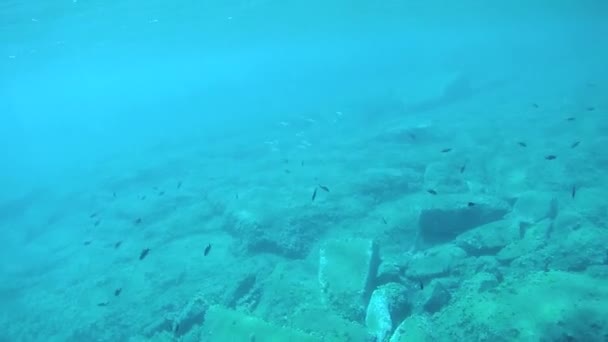 Yunanistan Daki Yon Denizi Nin Mavi Berrak Sularında Altında Yaşayan — Stok video