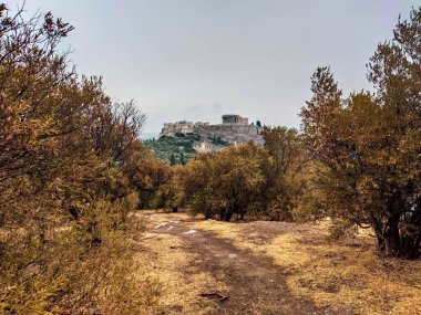 Yunanistan 'ın Akropolis tepesindeki ağaçların arasından manzaralı Atina şehir parkı. Ünlü Akropolis simgesi. Antik Atina şehir merkezinde sonbaharda antik Yunan harabeleri yıkıldı