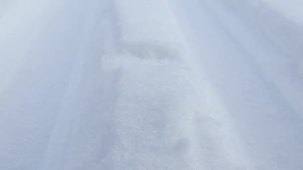 在雪地上越野滑雪场的滑雪场线 傍晚时分 冰封在雪地上 覆盖在雪地上 冬季积极的体育娱乐活动 — 图库视频影像