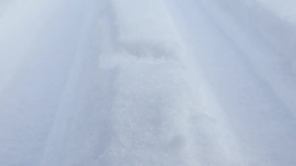 雪の上のクロスカントリーの野生のスキートラックの行は 凍結し 雪の川で覆われて夜に進む 冬のアクティブなスポーツレクリエーション — ストック動画