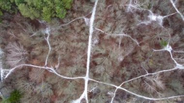 Çıplak ağaçlardan ve yeşil çam ağaçlarından oluşan karlı sokaklarla kış parkının üzerinde uç. Orman ve beyaz çizgilerle yukarıdan aşağı bak.