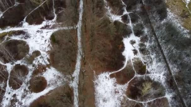 裸の木の風景の雪の路地で冬の公園の上を飛ぶ 木や白い線のパターンで空中を見下ろします — ストック動画