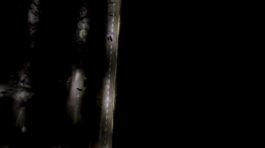 Gecenin üstünde uç aydınlık cadde, koşan adamı takip et. Ukrayna 'nın başkenti Kharkiv' deki Botanik Bahçesi 'nde (Sarzhyn Yar) havadan görüntüleme deseni