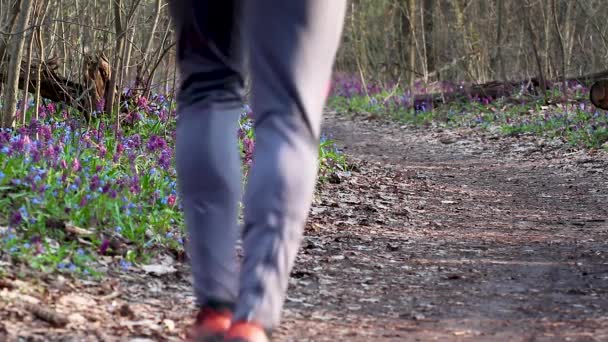 Man Springer Iväg Benutsikt Den Blommande Skogsstigen Med Corydalis Cava — Stockvideo