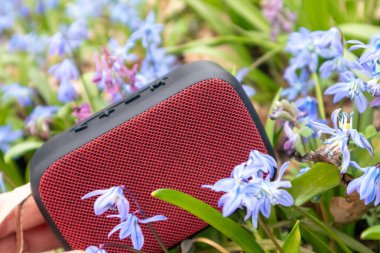 Vahşi doğada kırmızı portatif ses hoparlörü yakın plan. Vahşi bahar çimenleri mavi bifolia çiçekleri arka planında. Müziği de yanında götür.