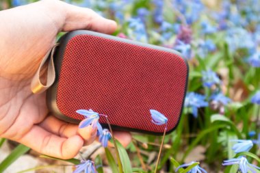 Vahşi doğada el ele tutuşan kırmızı taşınabilir ses hoparlörü. Vahşi bahar çimenleri mavi bifolia çiçekleri arka planında. Müziği de yanında götür.