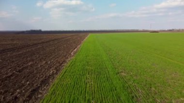 Genç yeşil yay tarlalarının ve ekili toprakların üzerinde geriye doğru uçuyorlar. Güzel bulutlu kırsal tarım manzarası