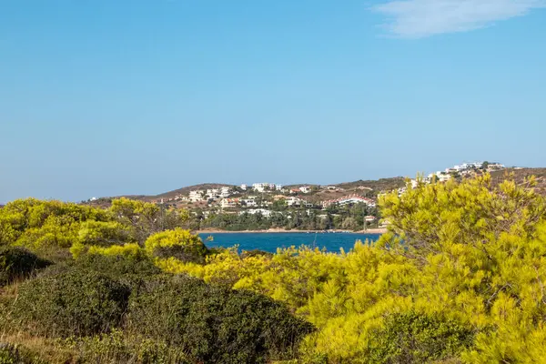 Vivid Green Bushes Wild Cliffs Sea Shore Landscape Village Greece — Stock Photo, Image