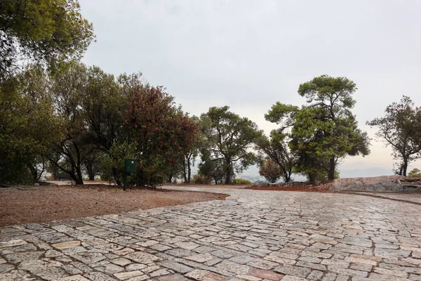 Ancient Paving Stone Road Trees Old Path Going Filopappou Hill — Stock Photo, Image