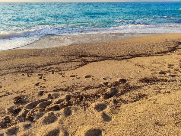 Coucher Soleil Gros Plan Plage Sable Avec Des Vagues Marée — Photo