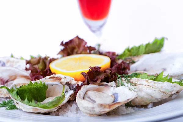 Oyster — Stock Photo, Image