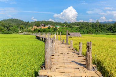 Zutongpae Köprüsü