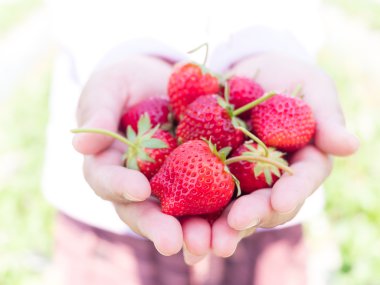 kadın el üzerinde kırmızı strawberrys