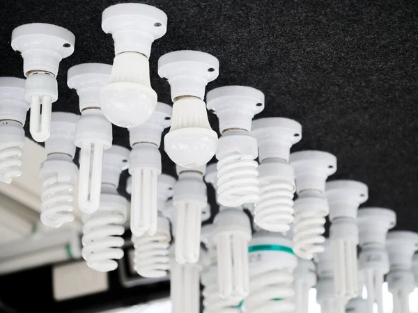 Different types of fluorescent and LED light bulbs — Stock Photo, Image