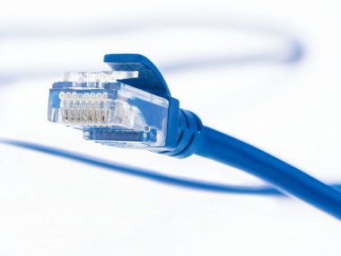 Mavi lan kablosu ve beyaz konektörüne