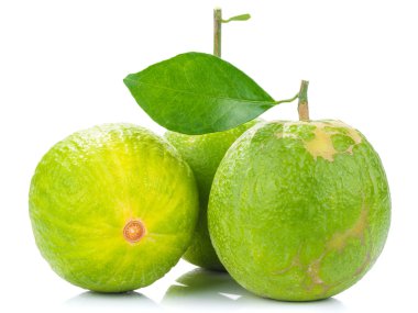 ham yeşil meyve, madarin citus beyaz