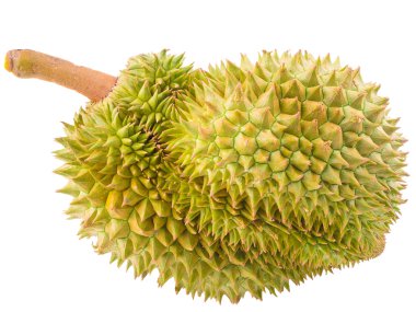 Beyaz arka plan üzerinde izole olgun durian meyve