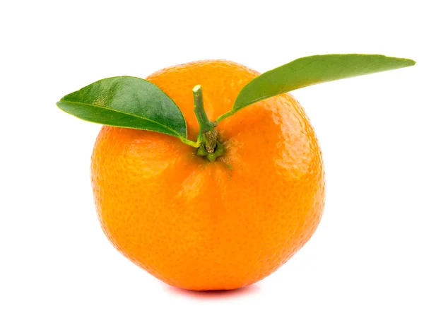 Fruto naranja aislado sobre blanco —  Fotos de Stock