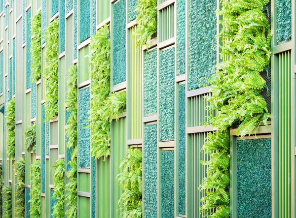 Vertical decoration garden on the wall — Stock Photo, Image