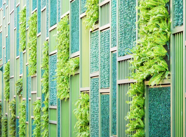 Jardin de décoration verticale sur le mur — Photo