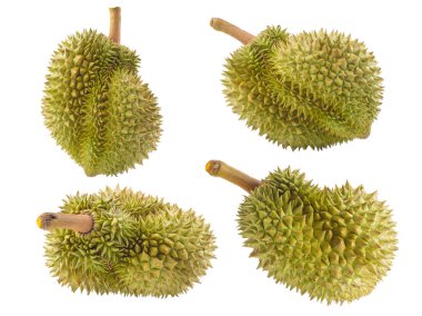 Beyaz arka plan üzerinde izole olgun durian meyve