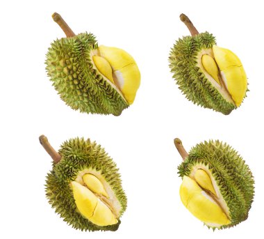 beyaz izole durian meyve kümesi